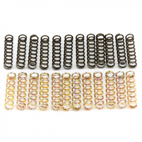 Power Clutch 12 Spring Kupplungsfedersatz