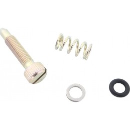 Mixture adjustment screw kit